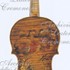 ViolinoPortoghese c.jpg