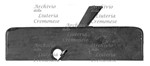 MS 1073.jpg MS 1073.jpg