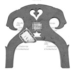 MS 1170.jpg MS 1170.jpg