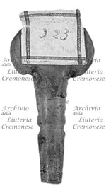 MS 1236.jpg MS 1236.jpg