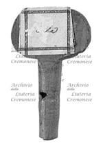 MS 1241.jpg MS 1241.jpg