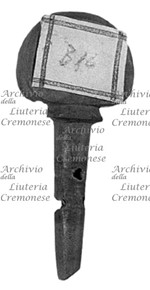 MS 1247.jpg MS 1247.jpg