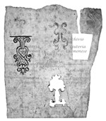 MS 1266.jpg MS 1266.jpg