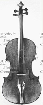 1624-84Viola2 a.jpg 1624-84Viola2 a.jpg