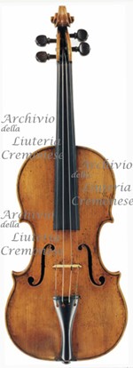1635cViolino a.jpg 1635cViolino a.jpg