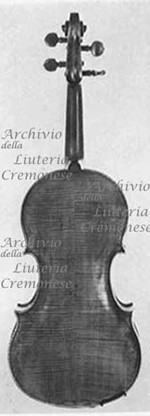 1642cViolino c.jpg 1642cViolino c.jpg