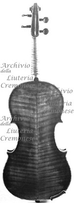 1664ViolinoAmatese c.jpg 1664ViolinoAmatese c.jpg