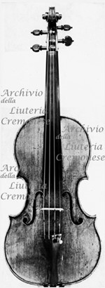 1675cViolino2 a.jpg 1675cViolino2 a.jpg