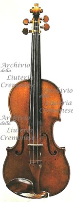 1685ViolinoMackenzie a1.jpg 1685ViolinoMackenzie a1.jpg