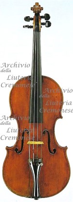 1694cViolino a.jpg