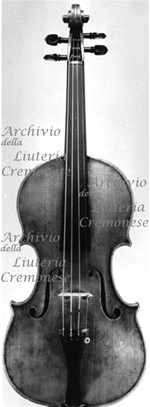 1714ViolinoCarrodus a.jpg 1714ViolinoCarrodus a.jpg