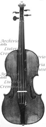 1715cViolinoPetersen a.jpg 1715cViolinoPetersen a.jpg