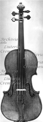 1724cViolino a.jpg 1724cViolino a.jpg