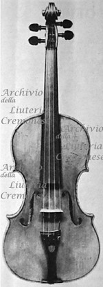 1732cViolino a.jpg 1732cViolino a.jpg
