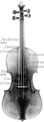 1733ViolinoHill a.jpg 1733ViolinoHill a.jpg