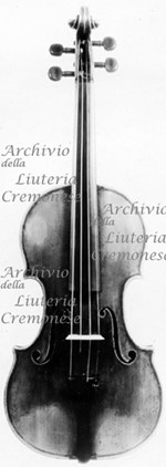 1736cViolinoVinegra a.jpg 1736cViolinoVinegra a.jpg