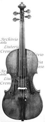 1739cViolinoCamposelice a.jpg 1739cViolinoCamposelice a.jpg