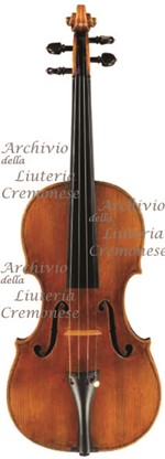 1739ViolinoBeare a.jpg 1739ViolinoBeare a.jpg