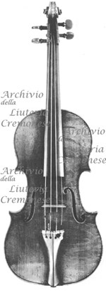 1742ViolinoSalabue a.jpg 1742ViolinoSalabue a.jpg