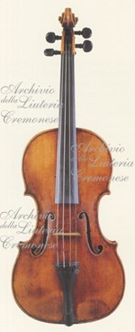 1743ViolinoCarrodus a.jpg 1743ViolinoCarrodus a.jpg