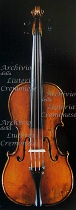 1747-89Viola a.jpg 1747-89Viola a.jpg