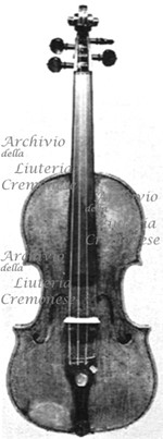 1753cViolino a.jpg 1753cViolino a.jpg