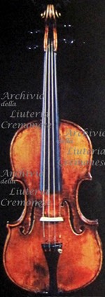 1764cViolino a.jpg 1764cViolino a.jpg