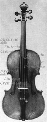 1765Viola a.jpg 1765Viola a.jpg