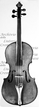 1767-1801Viola3 a.jpg 1767-1801Viola3 a.jpg
