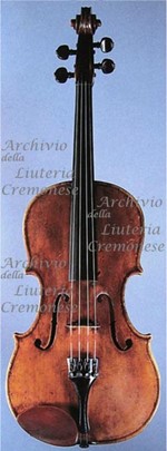 1767-1801Viola a.jpg 1767-1801Viola a.jpg