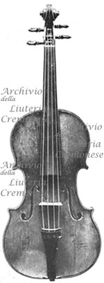 1768ViolinoRémi a.jpg 1768ViolinoRémi a.jpg
