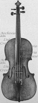 1771Viola a.jpg 1771Viola a.jpg