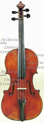 1778cViolino2 a.jpg 1778cViolino2 a.jpg