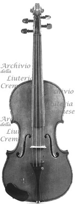 1880cViolino2 a.jpg 1880cViolino2 a.jpg