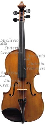 1885cViolino a.jpg 1885cViolino a.jpg