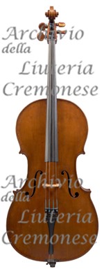 1896 Cello a.jpg 1896 Cello a.jpg