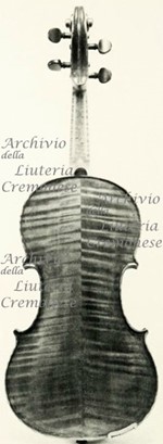 1898Violino2 c.jpg 1898Violino2 c.jpg
