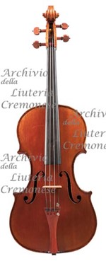 1922Viola a.jpg 1922Viola a.jpg