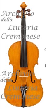 1969 Viola a.jpg 1969 Viola a.jpg