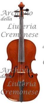 1978viola2 a.jpg 1978viola2 a.jpg