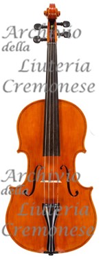 1984 Viola a.jpg 1984 Viola a.jpg