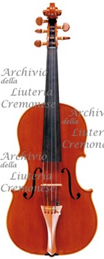 1995Controviola a.jpg 1995Controviola a.jpg