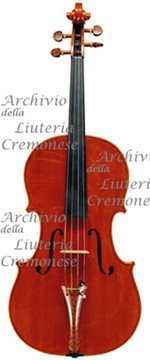 2000Viola a.jpg 2000Viola a.jpg