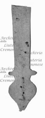 MS 551.jpg MS 551.jpg