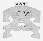 MS 736.jpg MS 736.jpg