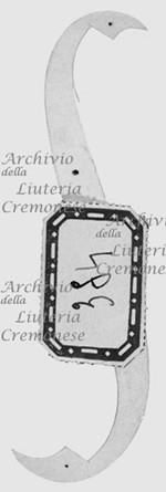 MS 889.jpg MS 889.jpg