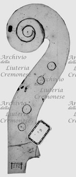 MS 975.jpg MS 975.jpg