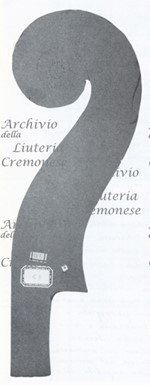 CavigliereC282.jpg CavigliereC282.jpg