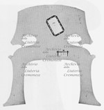 PonticelloC287.jpg PonticelloC287.jpg