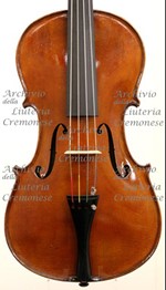 S. d. - Viola a.jpg S. d. - Viola a.jpg